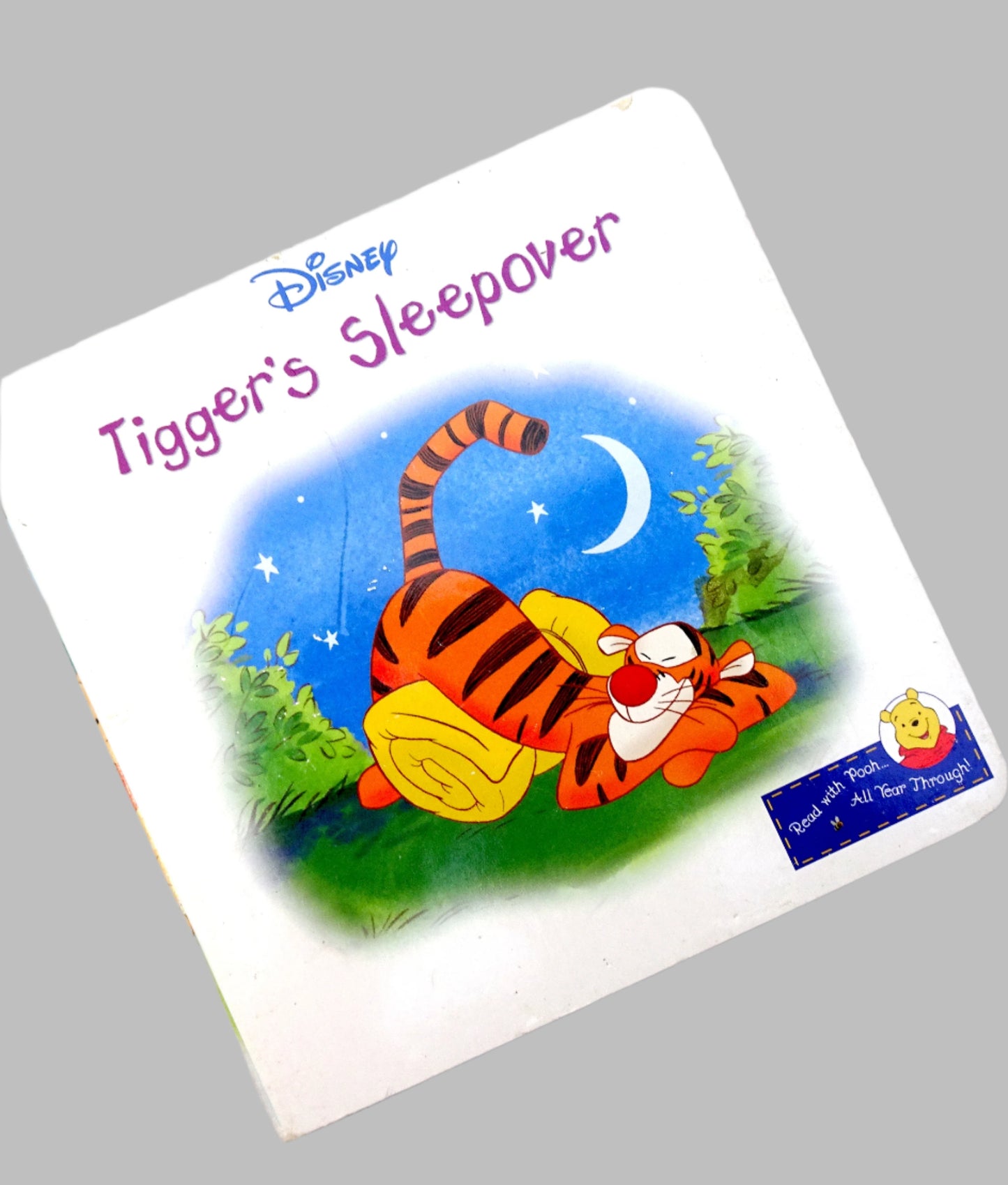 Disney's tigger's sleepover