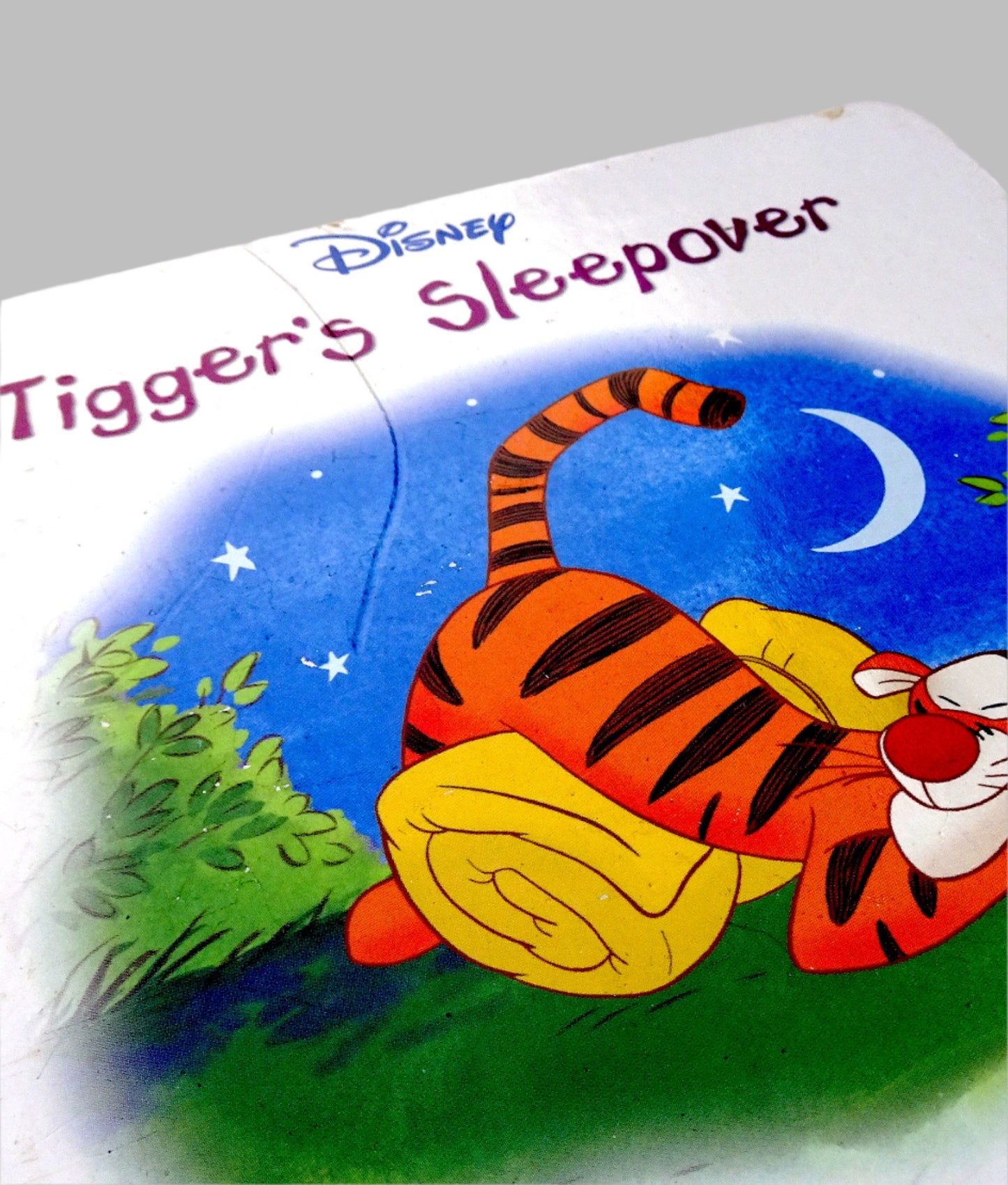 Disney's tigger's sleepover