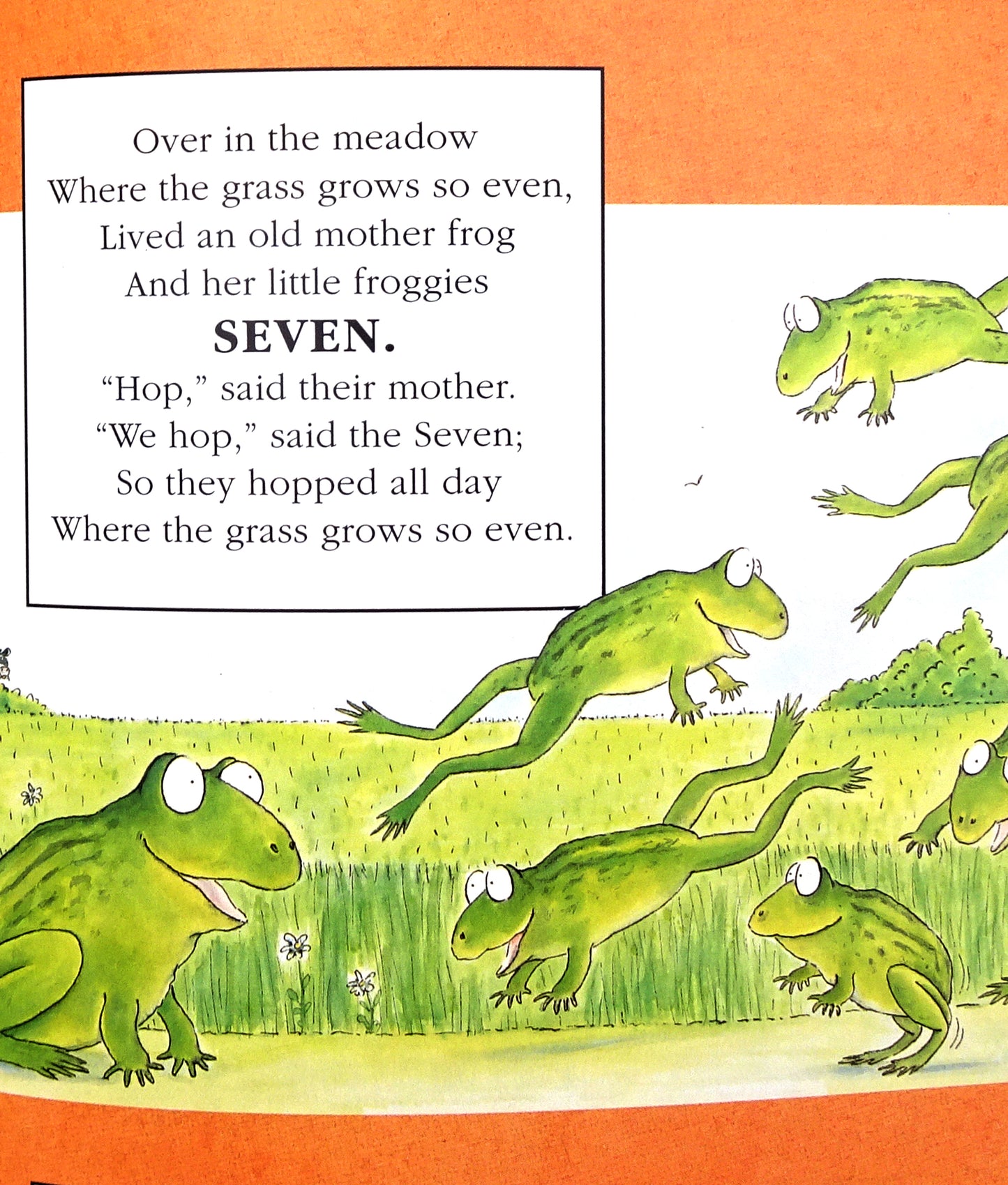 Animal tales