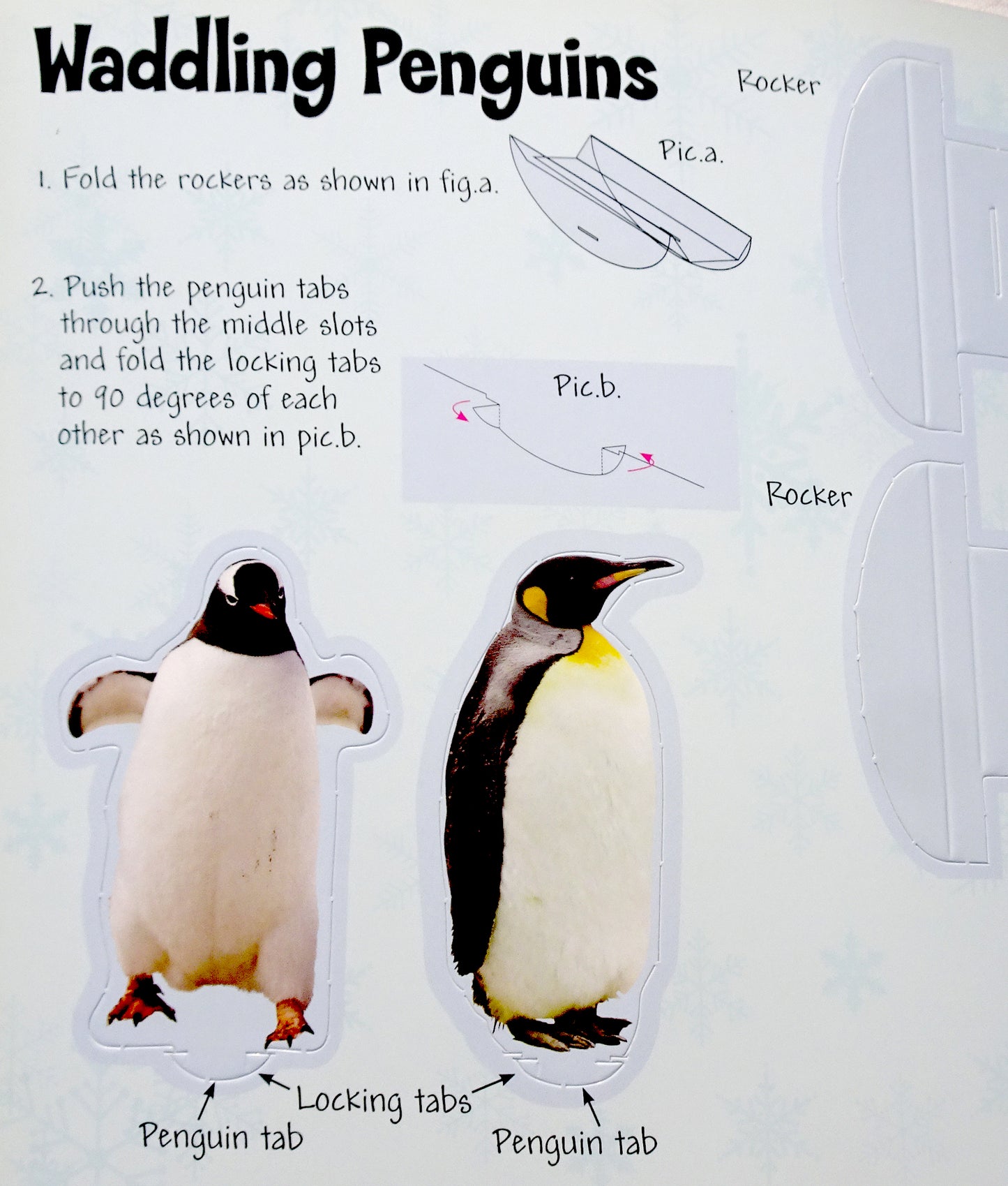 Baby animals - Artic adventures - Sticker Book