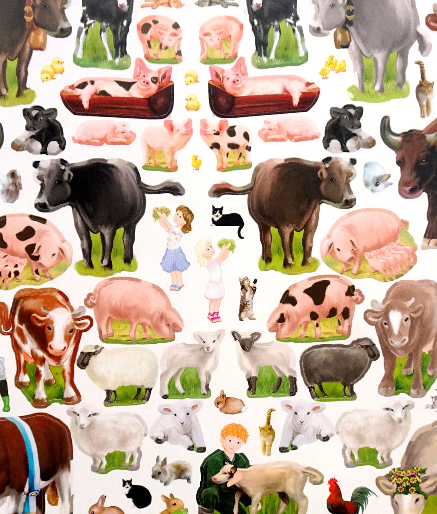Create your funny farm
