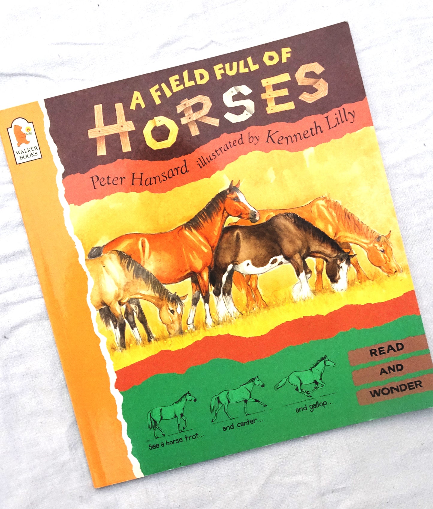 Afield full of horses