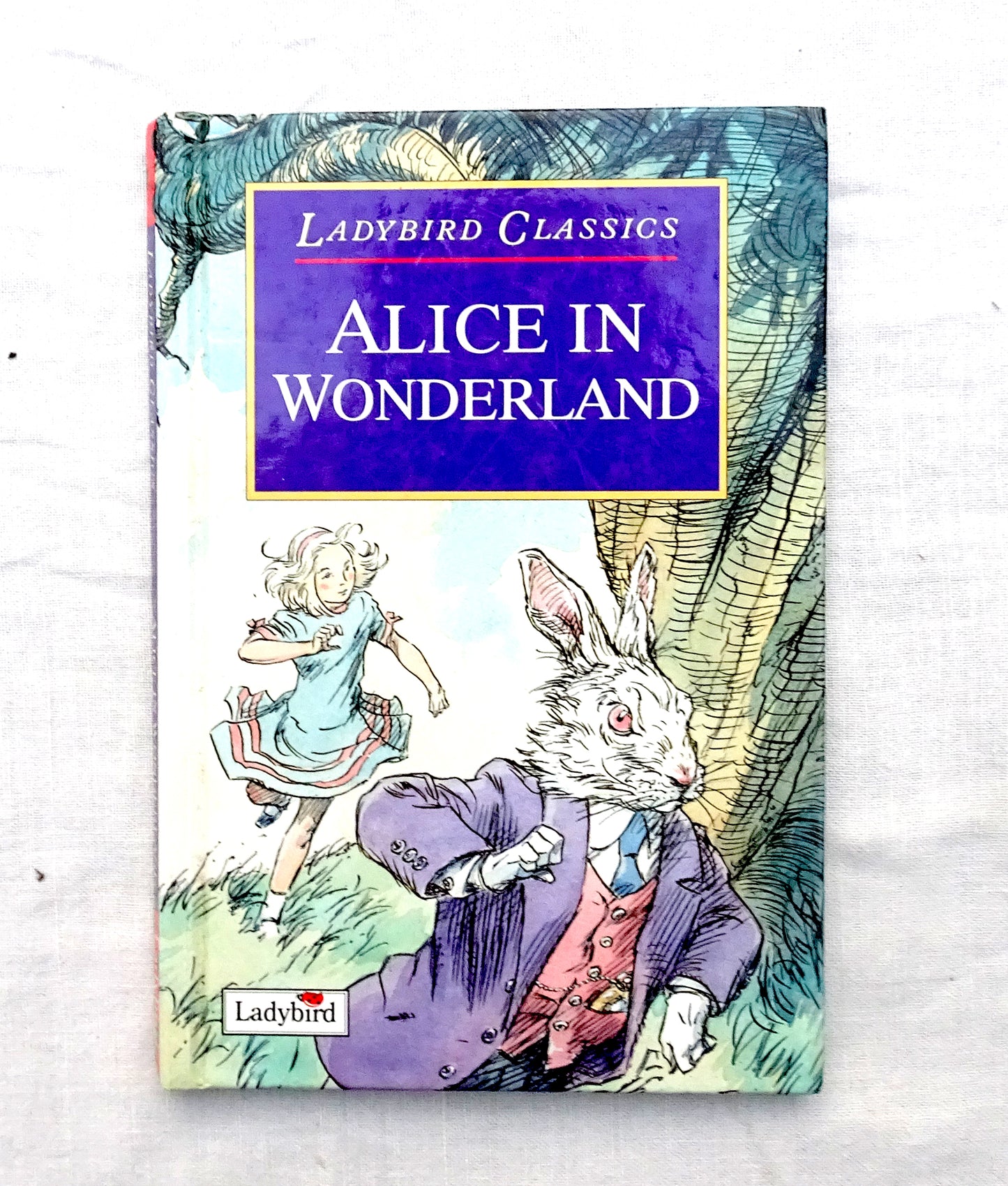 Alice in wonderland