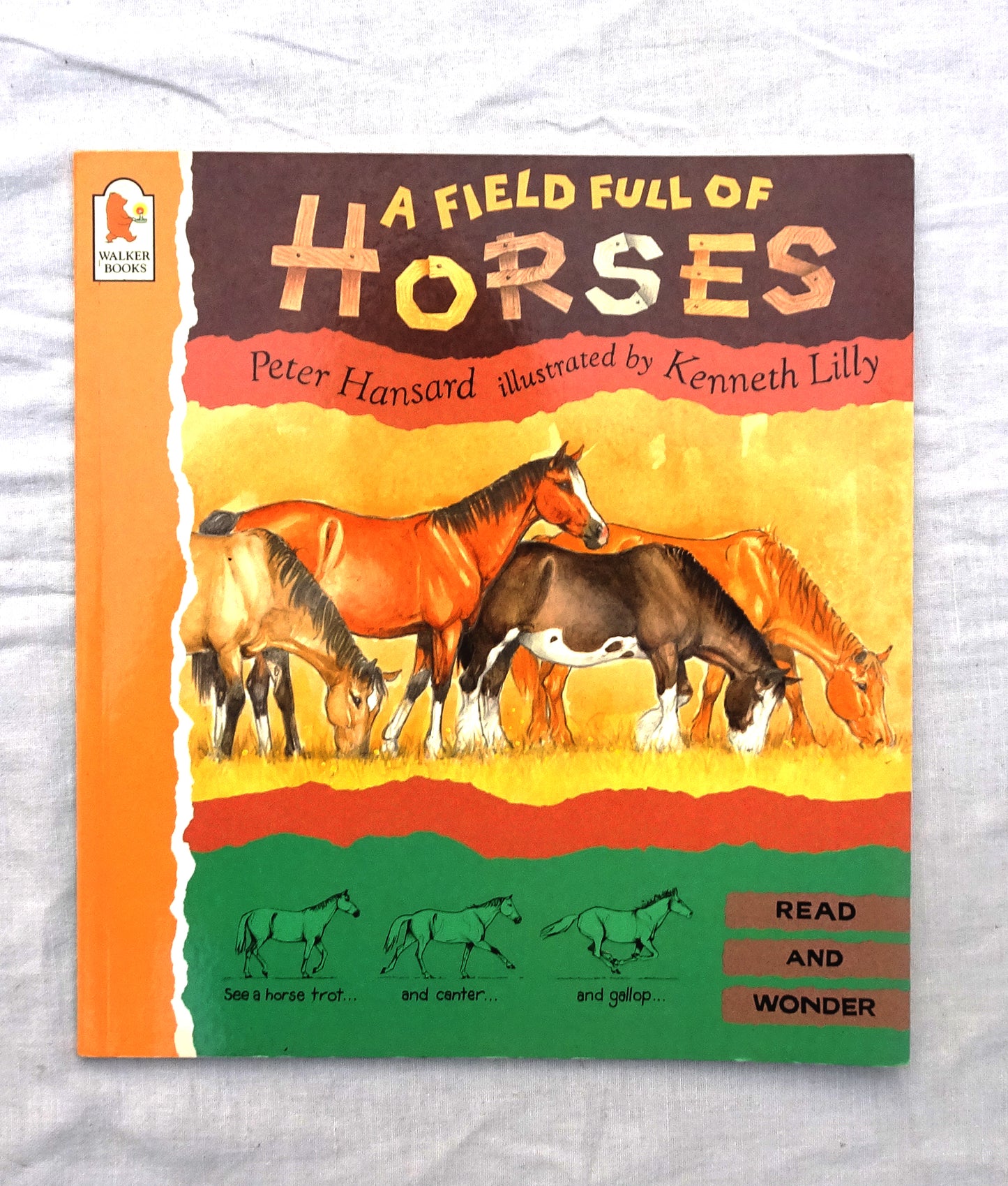 Afield full of horses