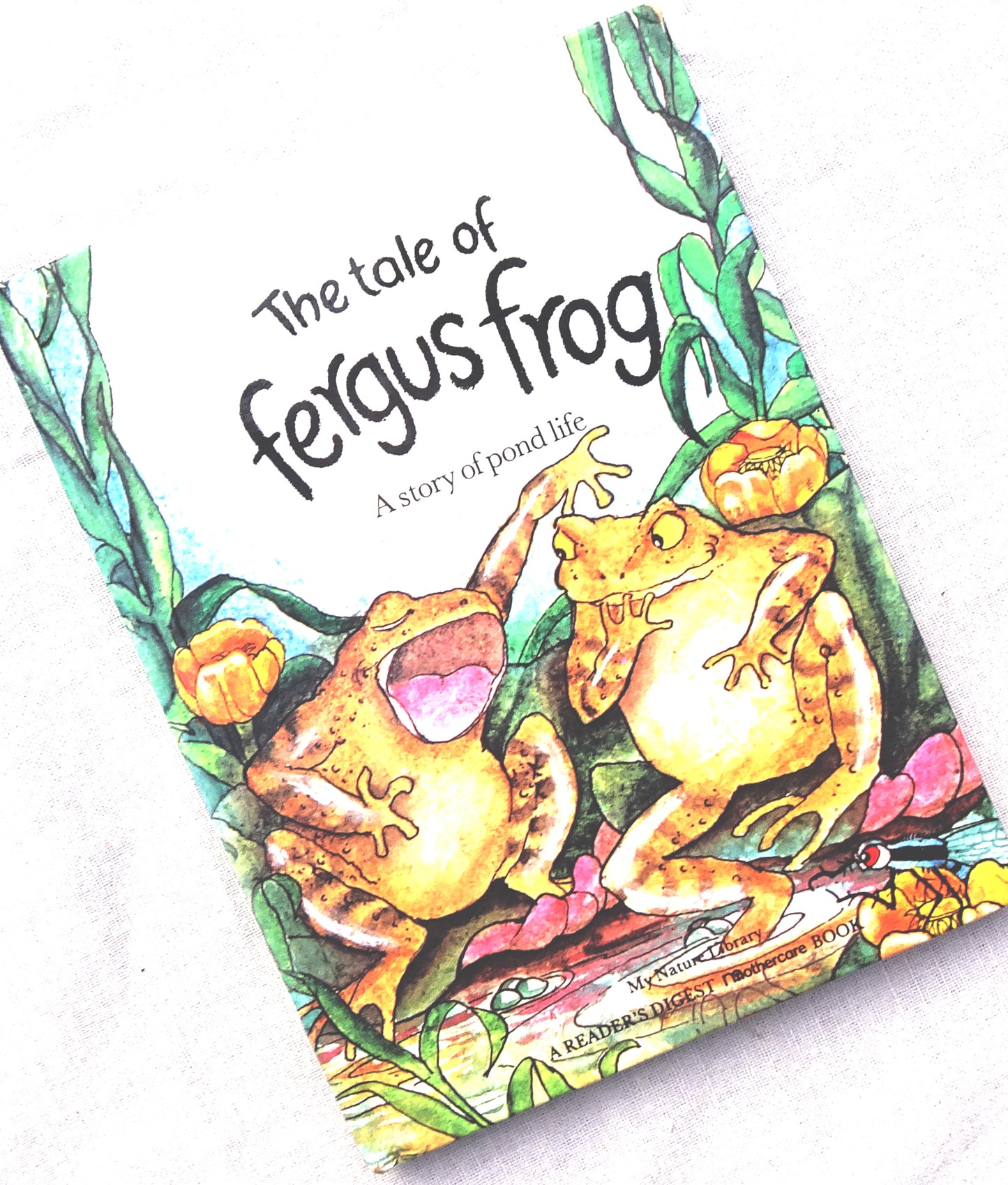 The Tale Of Fergus Frog