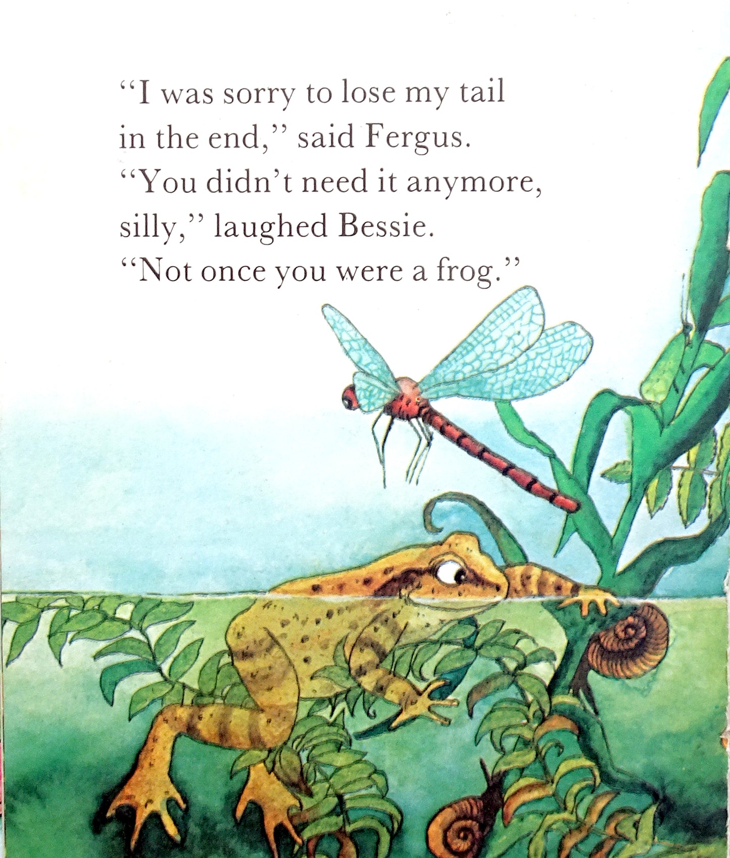 The Tale Of Fergus Frog