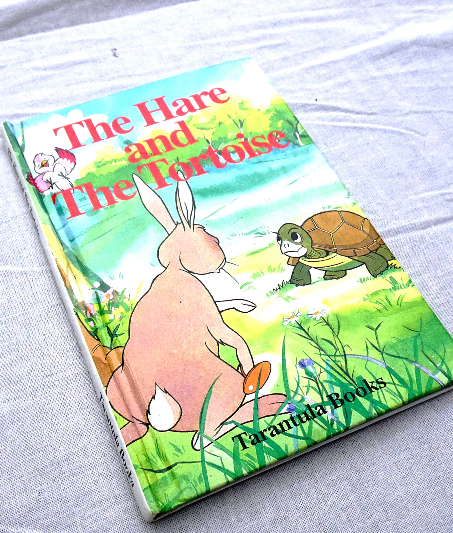 The hare and the tortoise