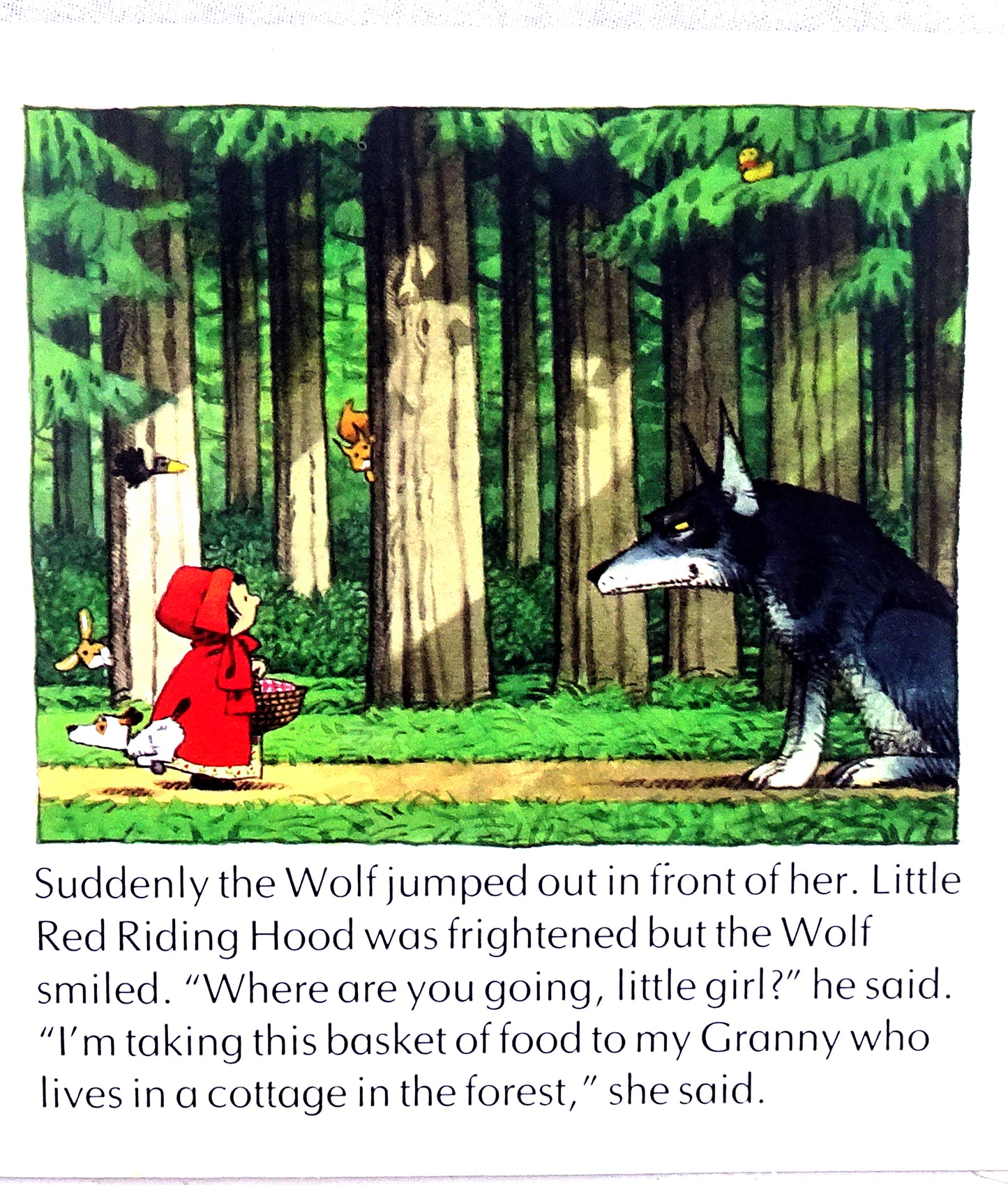 Little red riding hood